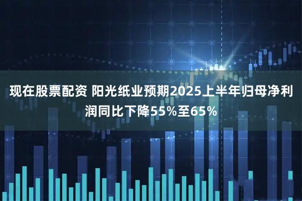 现在股票配资 阳光纸业预期2025上半年归母净利润同比下降55%至65%